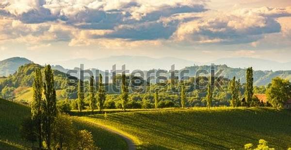  артикул 10055142