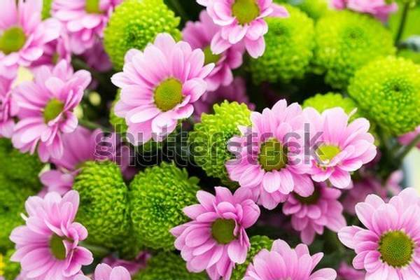  артикул 10055311
