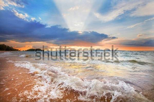  артикул 10055360