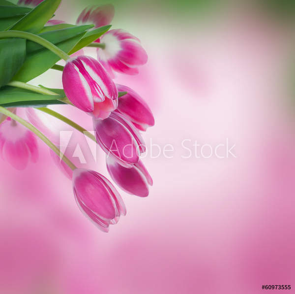  артикул 10055356