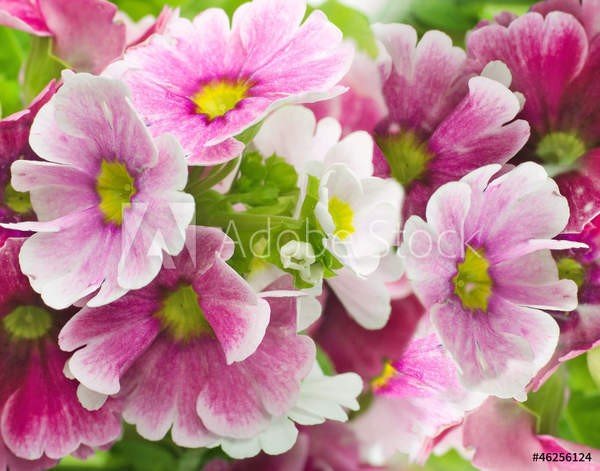  артикул 10055372