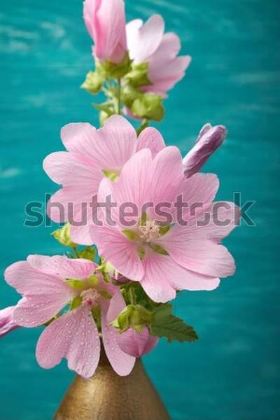  артикул 10055309