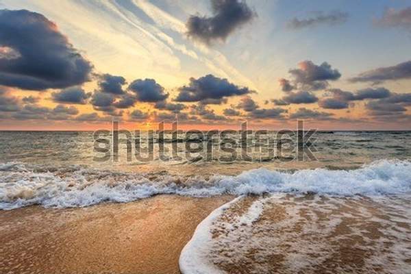  артикул 10055361