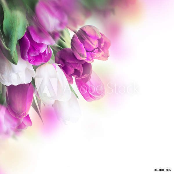  артикул 10055377