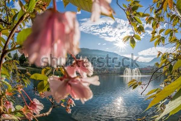  артикул 10055404