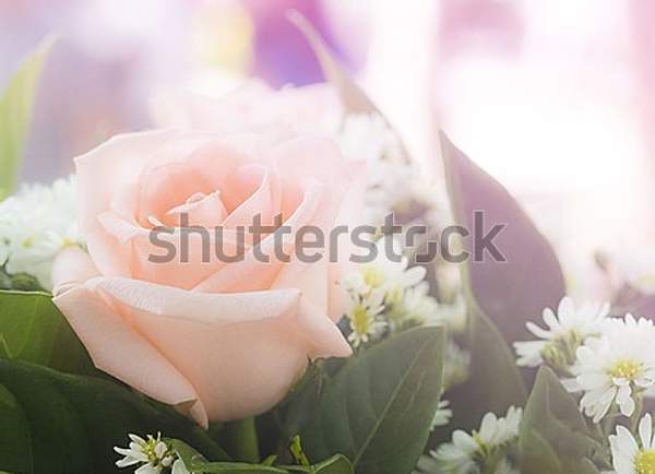  артикул 10055661