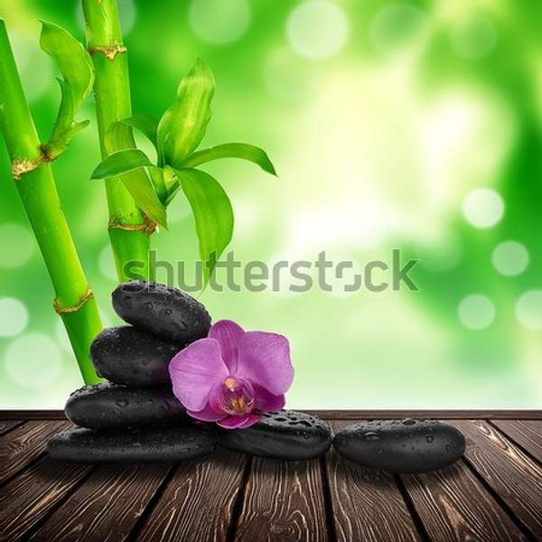  артикул 10055655