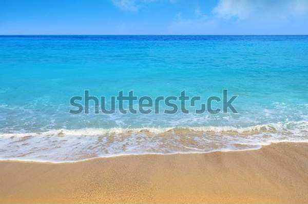  артикул 10055667