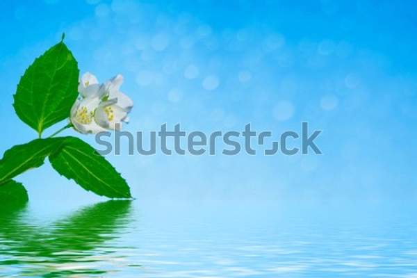  артикул 10055741