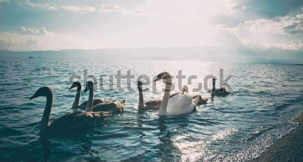 артикул 10055801