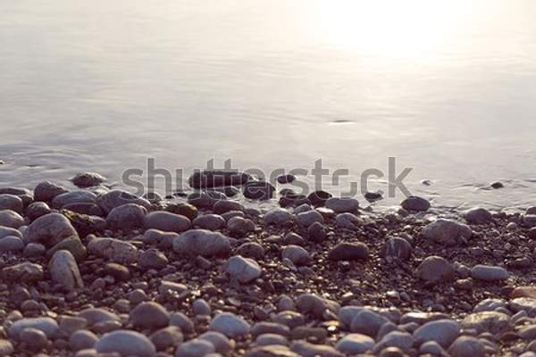  артикул 10055808