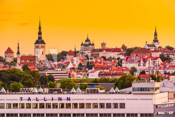  артикул 10055828