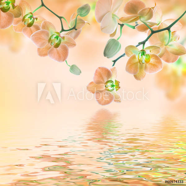  артикул 10055932