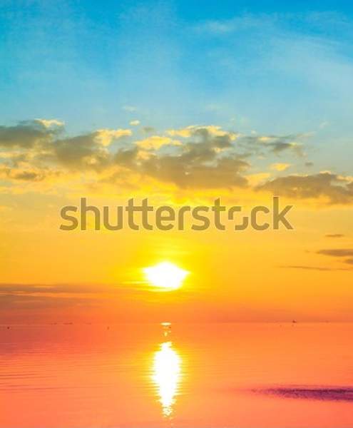  артикул 10055944