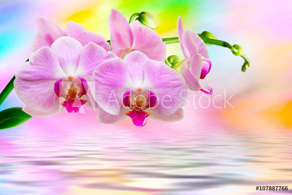  артикул 10055965