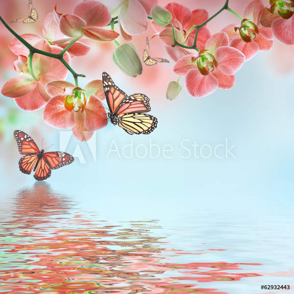  артикул 10055974