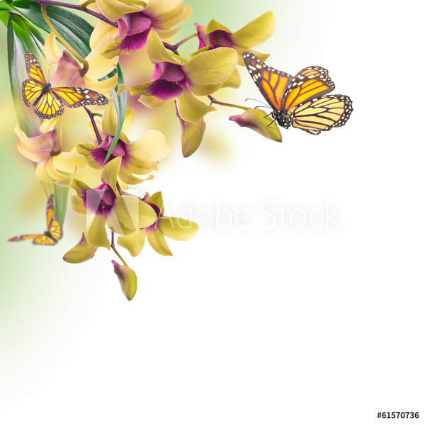  артикул 10055988