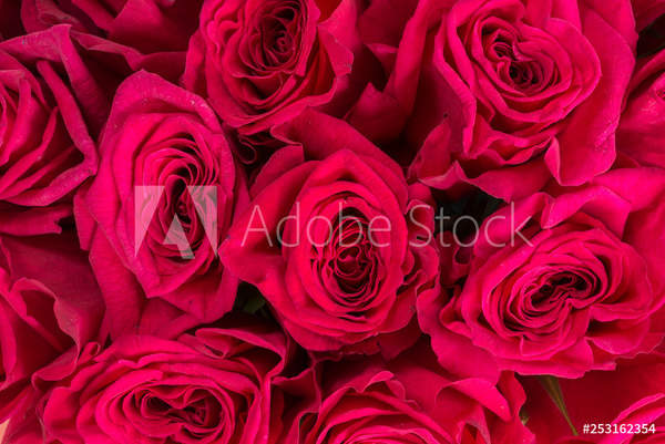  артикул 10056024