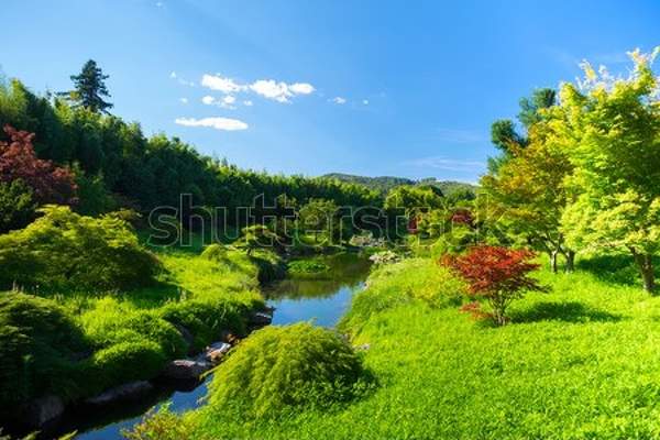  артикул 10056055