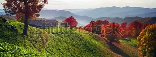  артикул 10056089