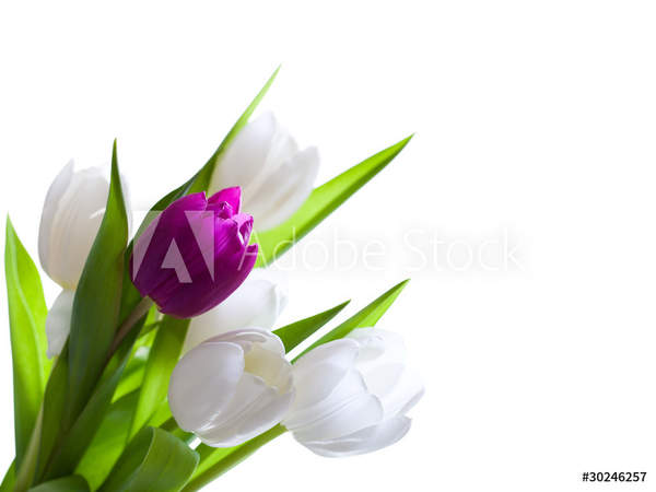  артикул 10056079
