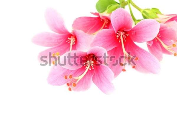  артикул 10056124