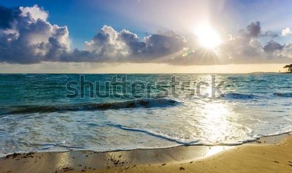  артикул 10056376