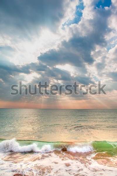  артикул 10056377