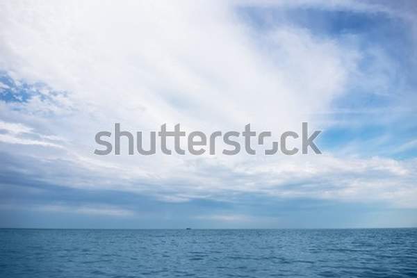 артикул 10056394