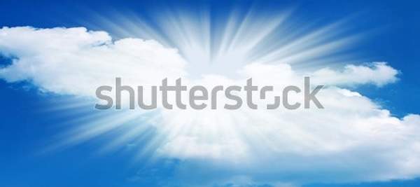  артикул 10056421