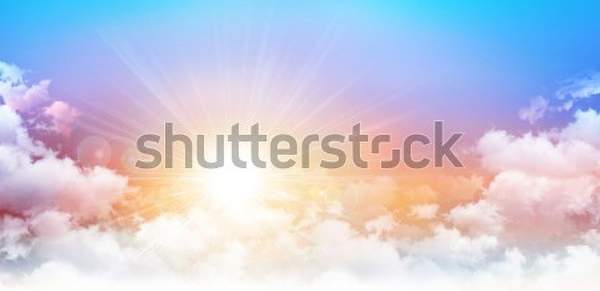  артикул 10056419