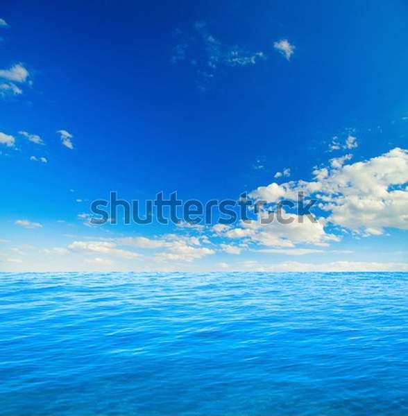  артикул 10056441