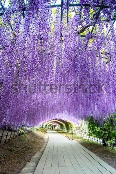  артикул 10056459