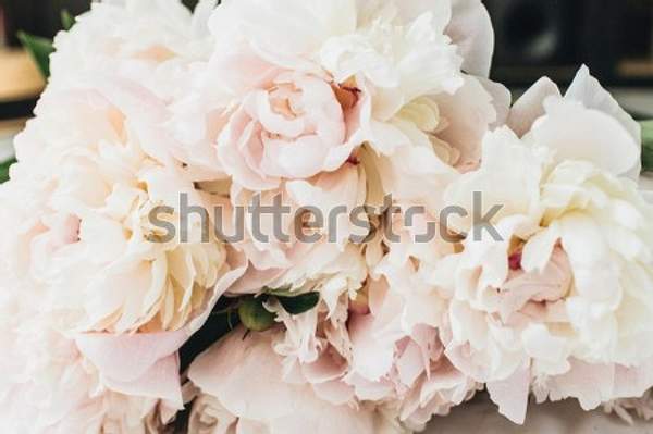  артикул 10056485