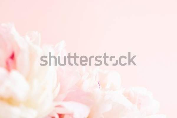  артикул 10056512