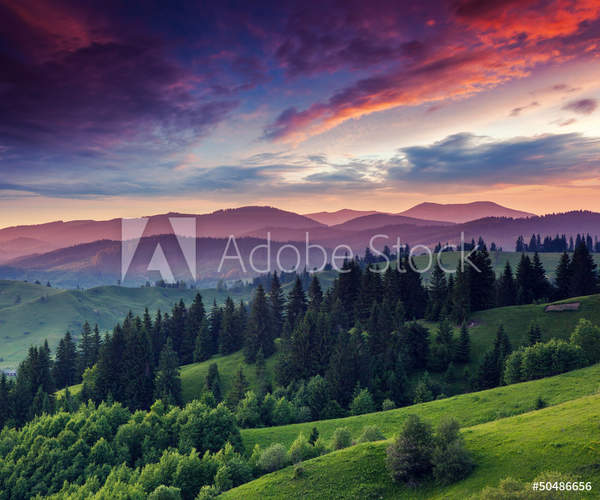  артикул 10056575