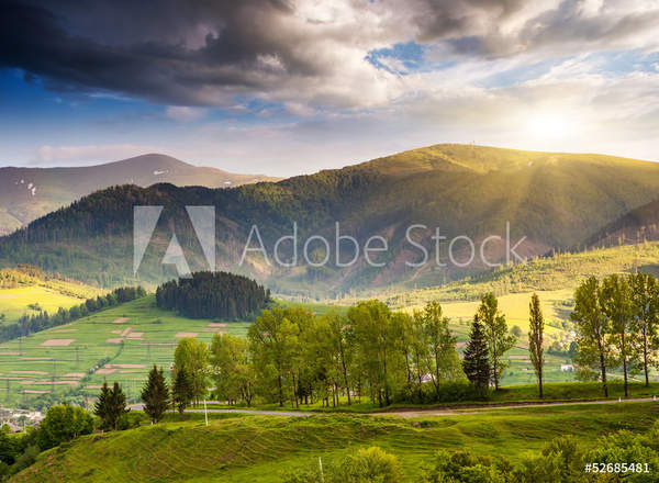  артикул 10056578