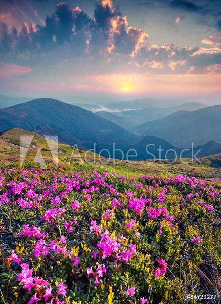  артикул 10056592