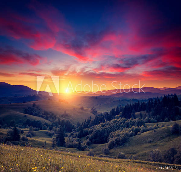  артикул 10056568