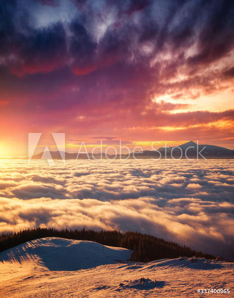  артикул 10056564