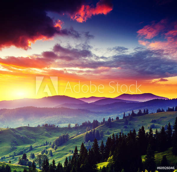  артикул 10056567