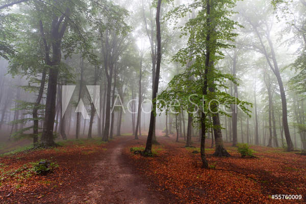  артикул 10056908