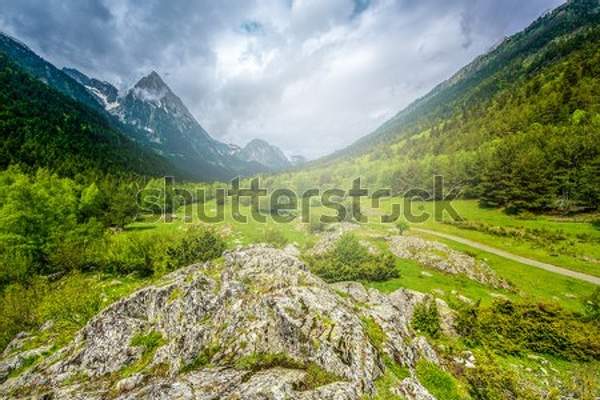  артикул 10056979
