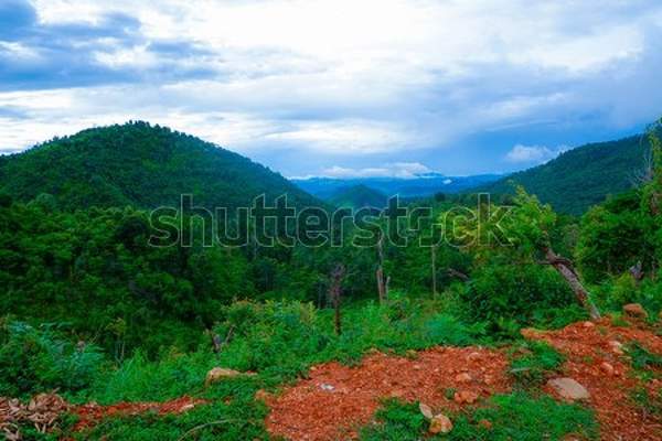  артикул 10057066