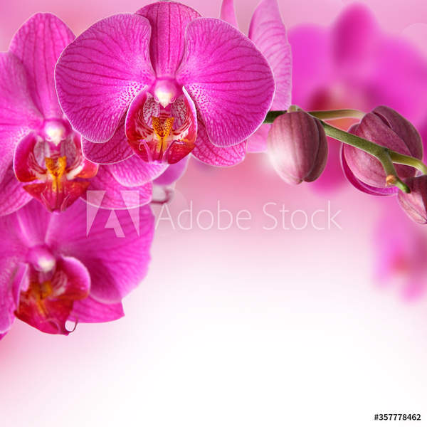  артикул 10057134