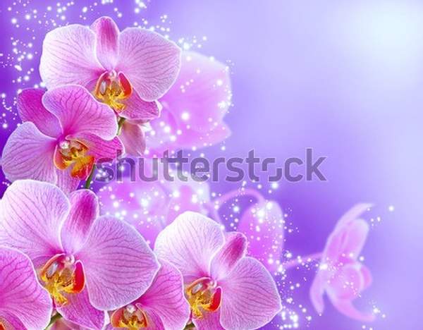  артикул 10057356