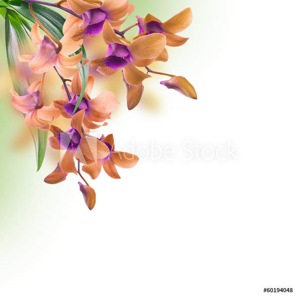  артикул 10057448