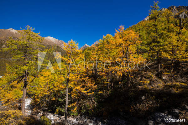  артикул 10057477