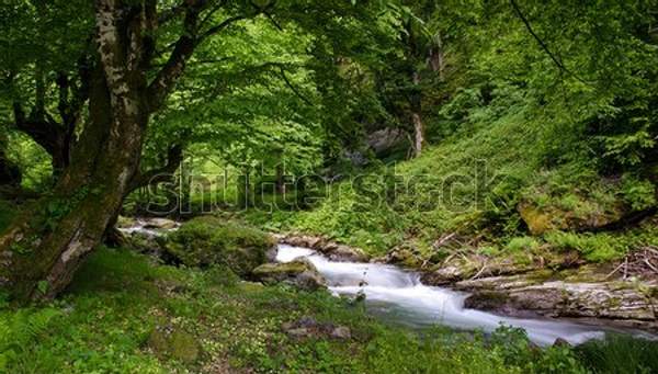  артикул 10057641