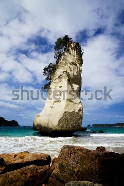  артикул 10057764